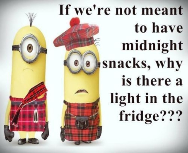18 Of The Best Minion Jokes, Quotes And Sayings - picture 4