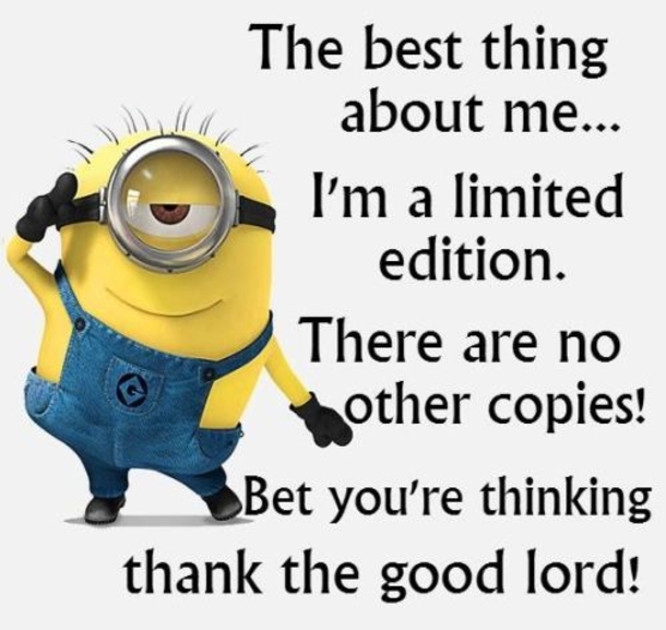 18 Of The Best Minion Jokes, Quotes And Sayings - picture 6