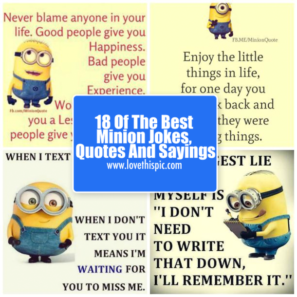 18 Of The Best Minion Jokes, Quotes And Sayings - picture 13