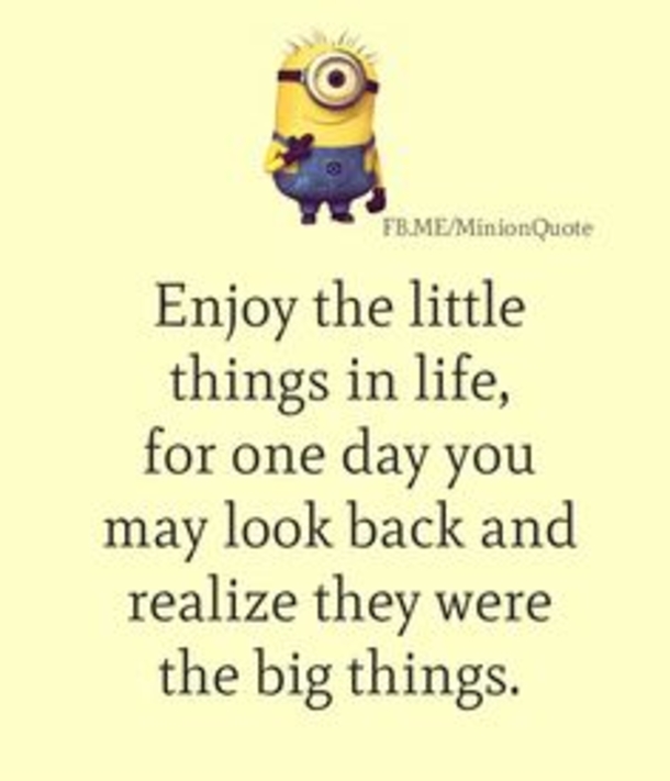 18 Of The Best Minion Jokes, Quotes And Sayings - picture 19