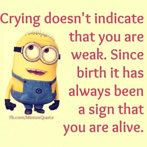 18 Of The Best Minion Jokes, Quotes And Sayings - picture 14