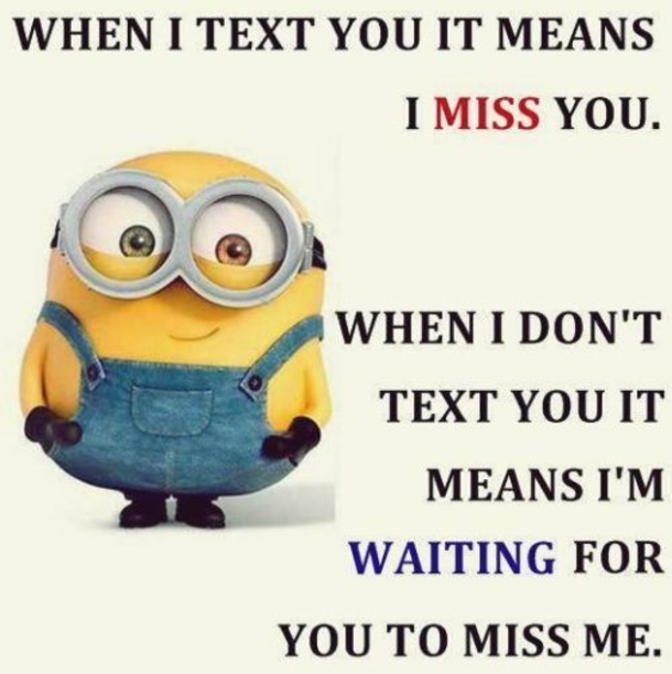 18 Of The Best Minion Jokes, Quotes And Sayings - picture 18