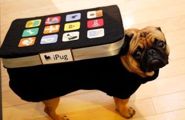 18 Super Cool Dog Halloween Costumes - picture 18