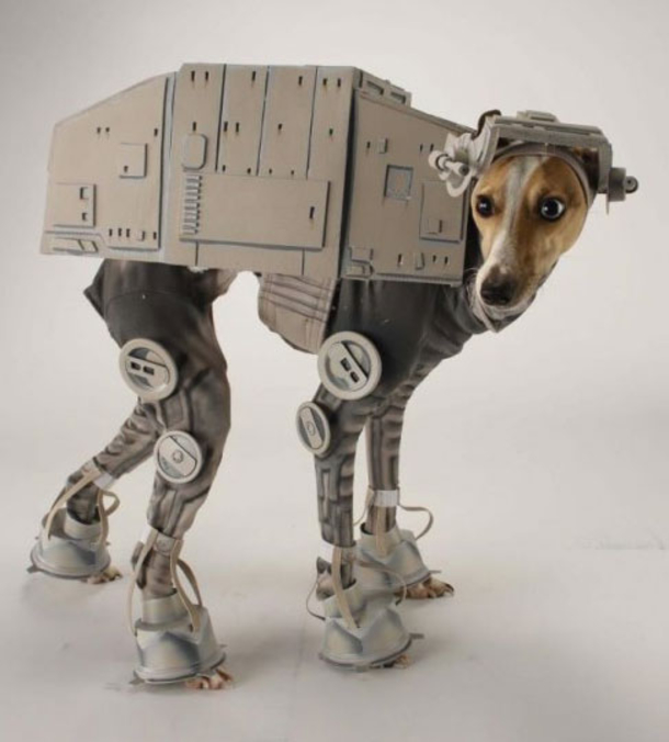 18 Super Cool Dog Halloween Costumes - picture 19