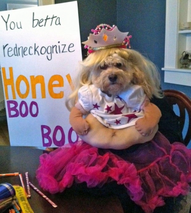 18 Super Cool Dog Halloween Costumes - picture 2