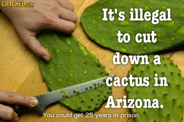 19 Random Things That You Will Be Surprised You Didn't Know About - picture 18