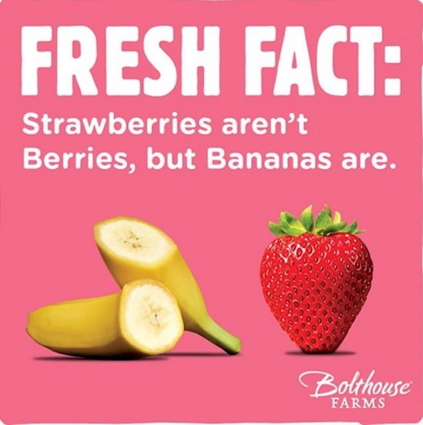 19 Random Things That You Will Be Surprised You Didn't Know About - picture 20