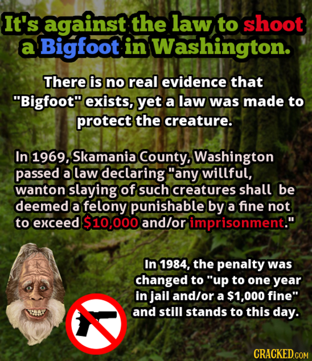 19 Random Things That You Will Be Surprised You Didn't Know About - picture 3