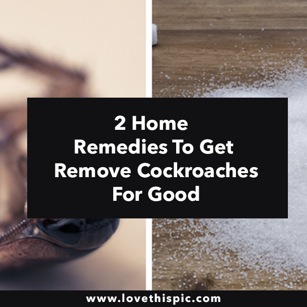 2 Home Remedies To Get Remove Cockroaches For Good