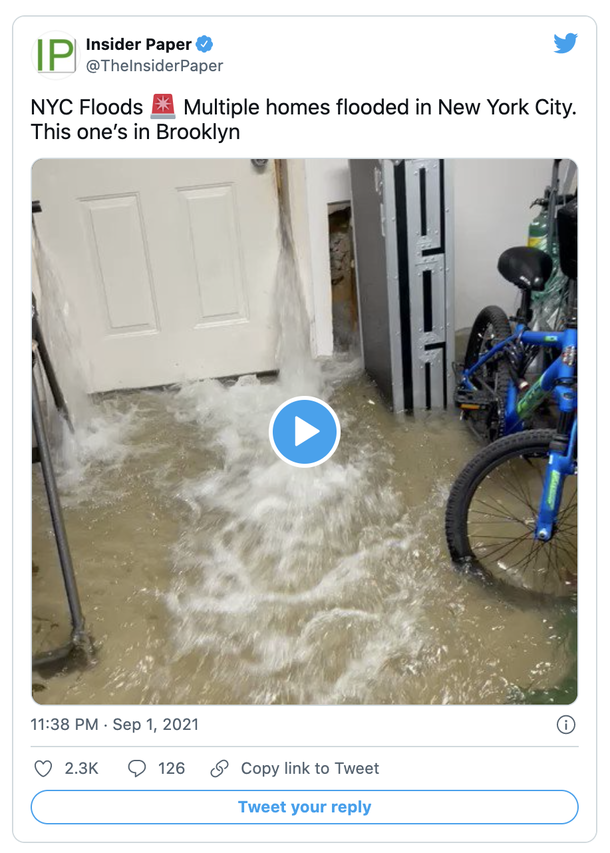 2-year-old toddler and parents died after being stuck in flooded New York basement apartment - picture 2