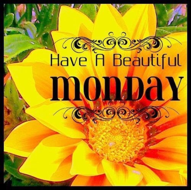 20 Amazing Monday Quotes To Get Your Week Started - picture 10