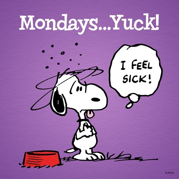 20 Amazing Monday Quotes To Get Your Week Started - picture 15