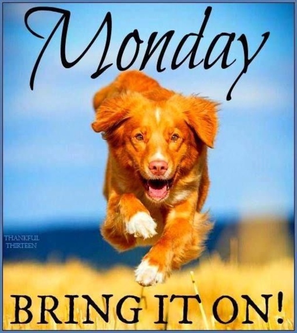 20 Amazing Monday Quotes To Get Your Week Started - picture 3