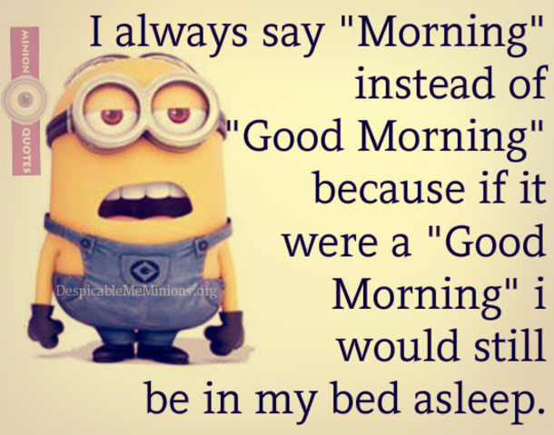 20 Awesome Good Morning Minion Quotes That You Will LOVE - picture 11