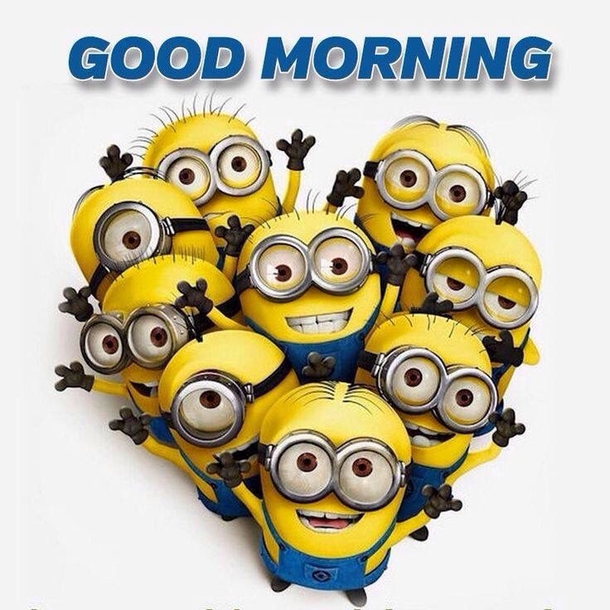 20 Awesome Good Morning Minion Quotes That You Will LOVE - picture 12