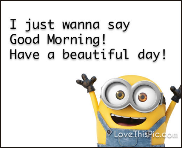20 Awesome Good Morning Minion Quotes That You Will LOVE - picture 5