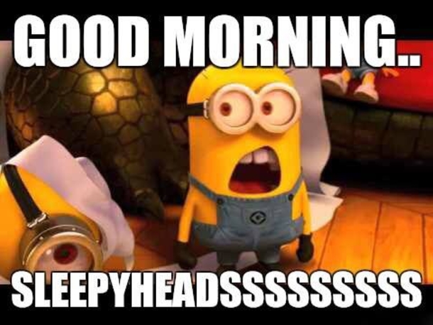 20 Awesome Good Morning Minion Quotes That You Will LOVE - picture 8