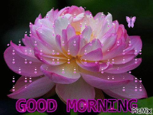 20 Beautiful Animated Good Morning Images To Start Your Day - picture 15