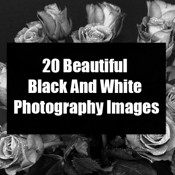 20 Beautiful Black And White Photography Images