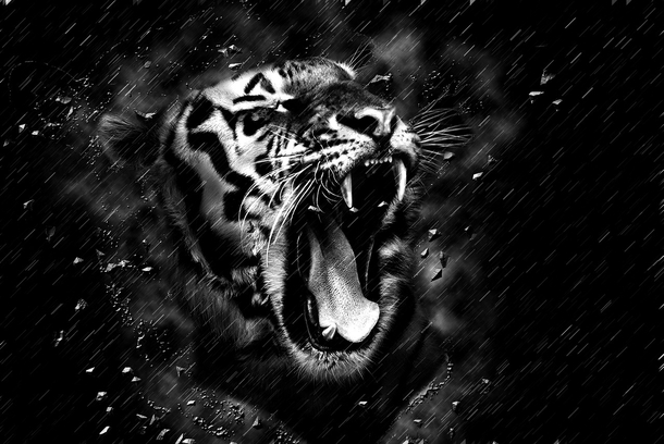 20 Beautiful Black And White Photography Images - picture 15