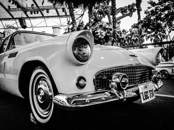 20 Beautiful Black And White Photography Images - picture 16