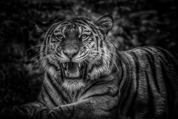 20 Beautiful Black And White Photography Images - picture 17