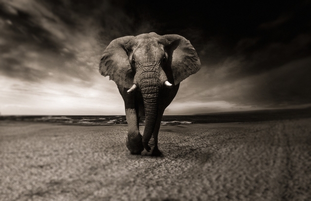 20 Beautiful Black And White Photography Images - picture 2