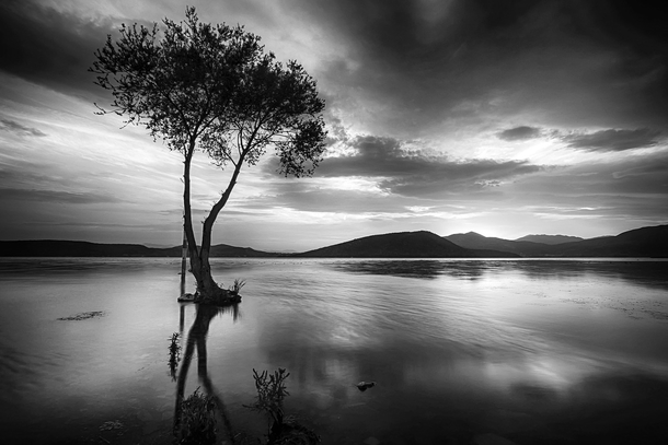 20 Beautiful Black And White Photography Images - picture 20