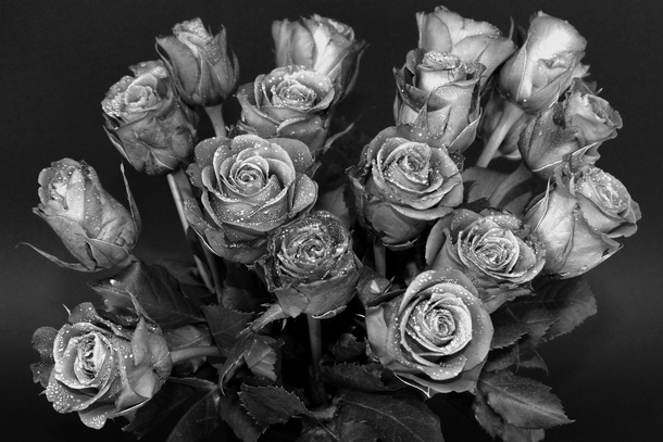 20 Beautiful Black And White Photography Images - picture 21