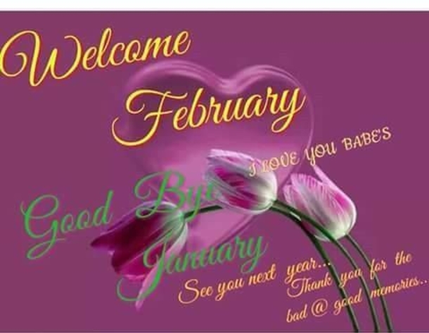 20 Beautiful February Quotes To Celebrate The New Month - picture 22