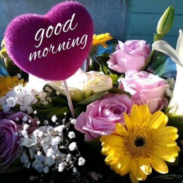 20 Beautiful Good Morning Quotes To Get Your Day Started - picture 10