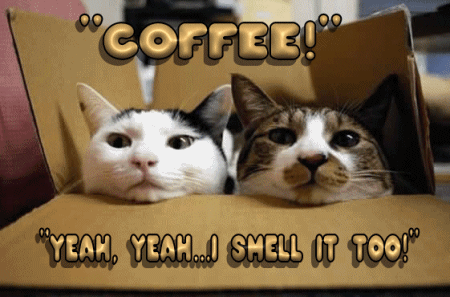 20 Beautiful Good Morning Quotes To Get Your Day Started - picture 4