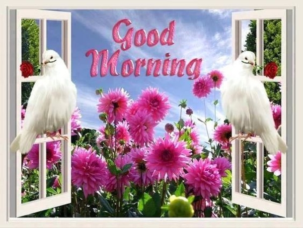 20 Beautiful Good Morning Quotes To Get Your Day Started - picture 5