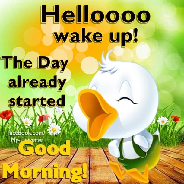 20 Beautiful Good Morning Quotes To Get Your Day Started - picture 9