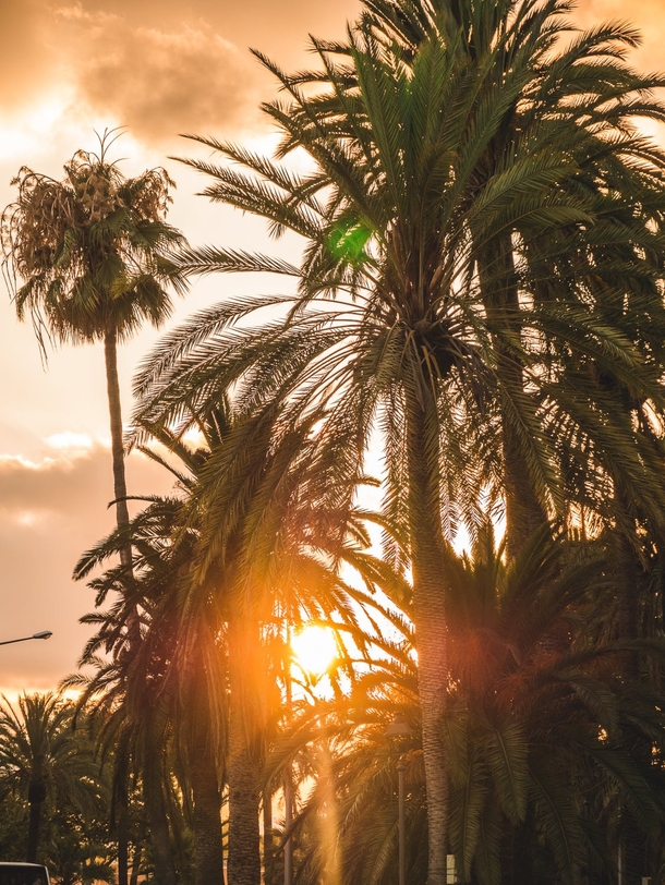 20 Beautiful Images To Inspire Your Good Morning - picture 12