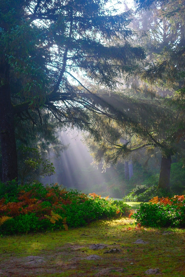 20 Beautiful Images To Inspire Your Good Morning - picture 5