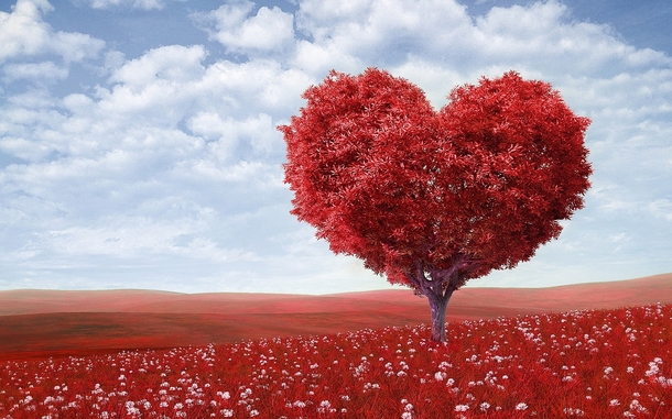 20+ Beautiful Love Photography Images - picture 14