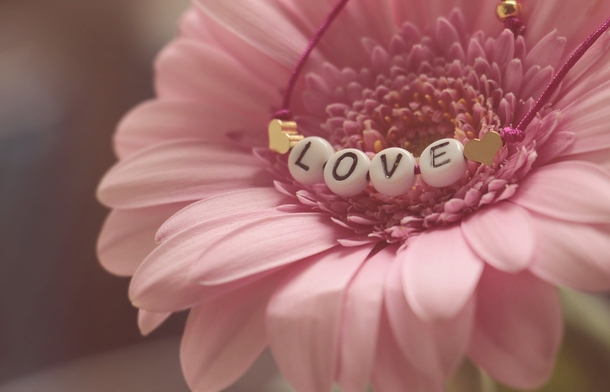 20+ Beautiful Love Photography Images - picture 20