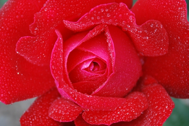 20 Best Cute & Romantic Love Images - picture 7