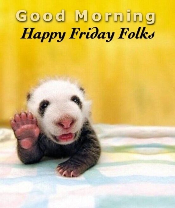 20 Best Good Morning Happy Friday Quotes - picture 10