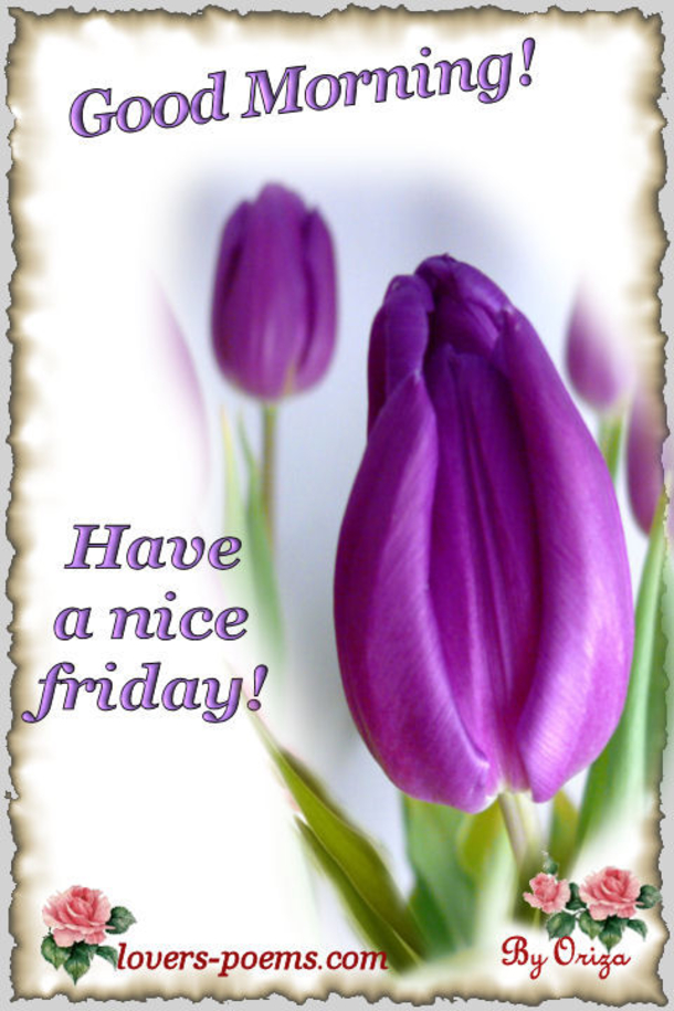 20 Best Good Morning Happy Friday Quotes - picture 15