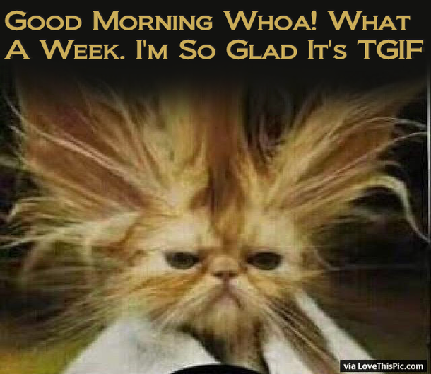 20 Best Good Morning Happy Friday Quotes - picture 20