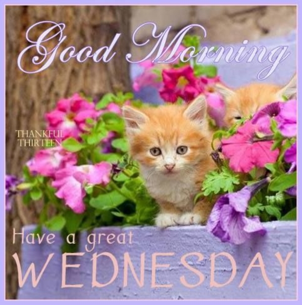 20 Best Good Morning Happy Wednesday Quotes - picture 10