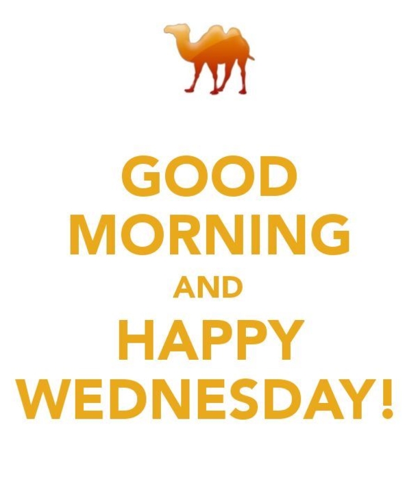 20 Best Good Morning Happy Wednesday Quotes - picture 11