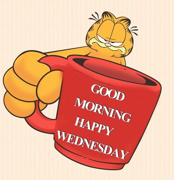 20 Best Good Morning Happy Wednesday Quotes - picture 13