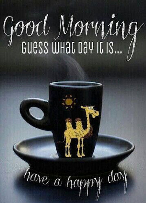 20 Best Good Morning Happy Wednesday Quotes - picture 15