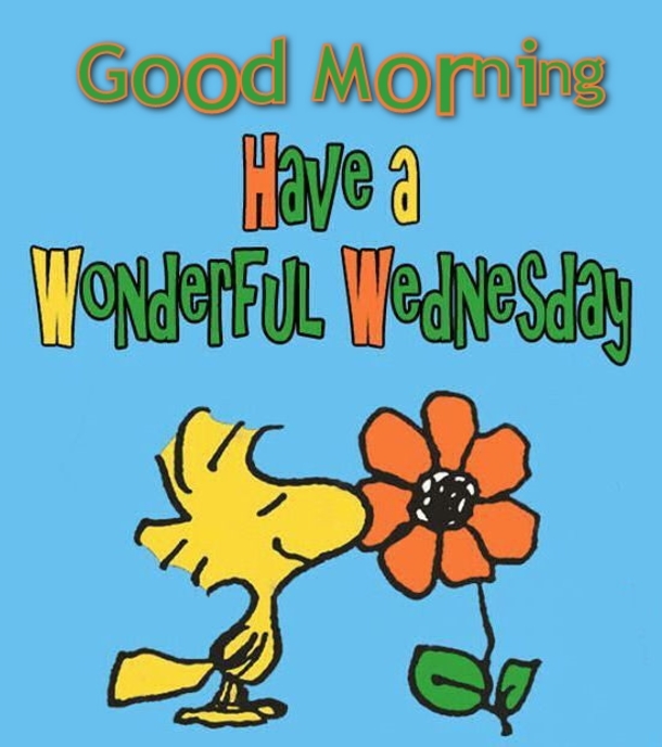 20 Best Good Morning Happy Wednesday Quotes - picture 9