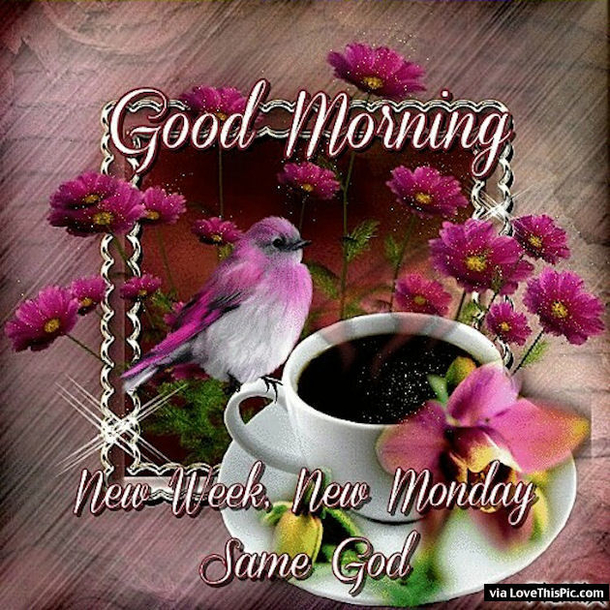 20 Best Good Morning Quotes To Start A Brand New Week - picture 15