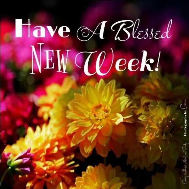 20 Best Good Morning Quotes To Start A Brand New Week - picture 19