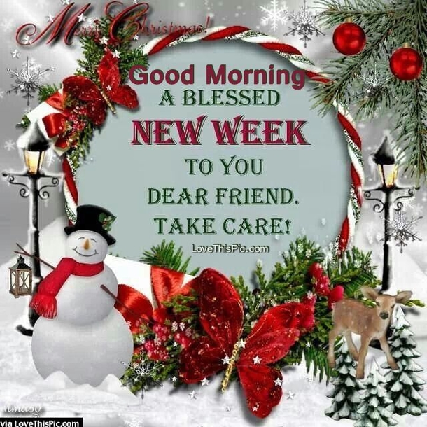 20 Best Good Morning Quotes To Start A Brand New Week - picture 7